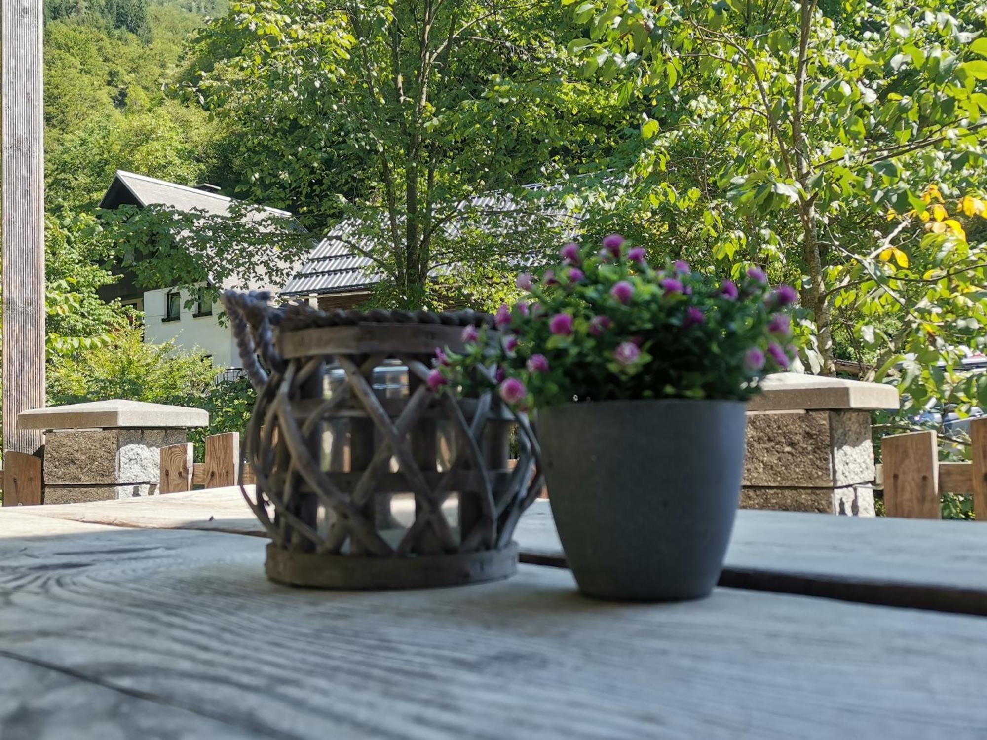 Apartma Bohinj Zewnętrze zdjęcie